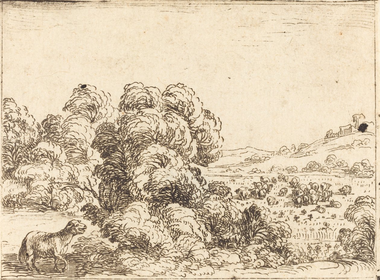 Får som kallar lamm av Jacques Callot
