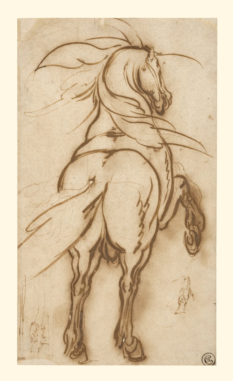 Studie av en uppfödande häst av Jacques Callot