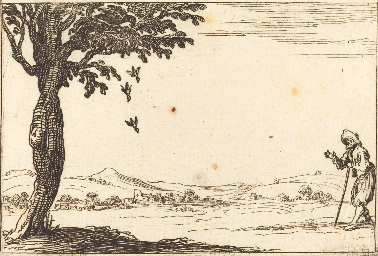Kråkan och hennes unga av Jacques Callot