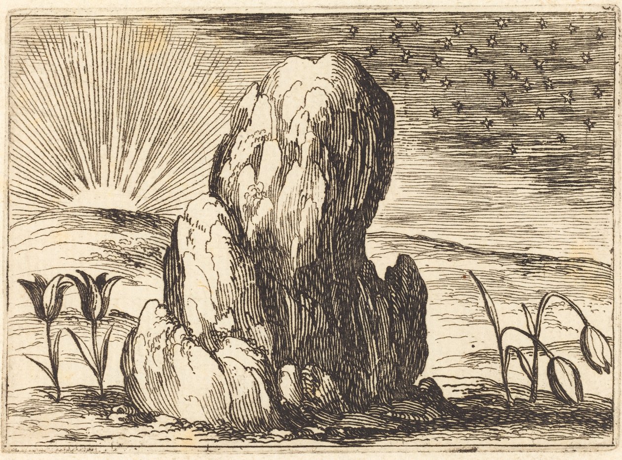 Tulpanerna och solen, 1628. av Jacques Callot