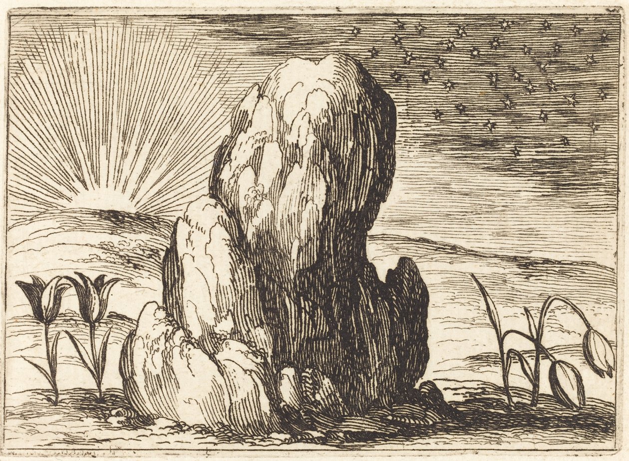Tulpanerna och solen, 1628. av Jacques Callot