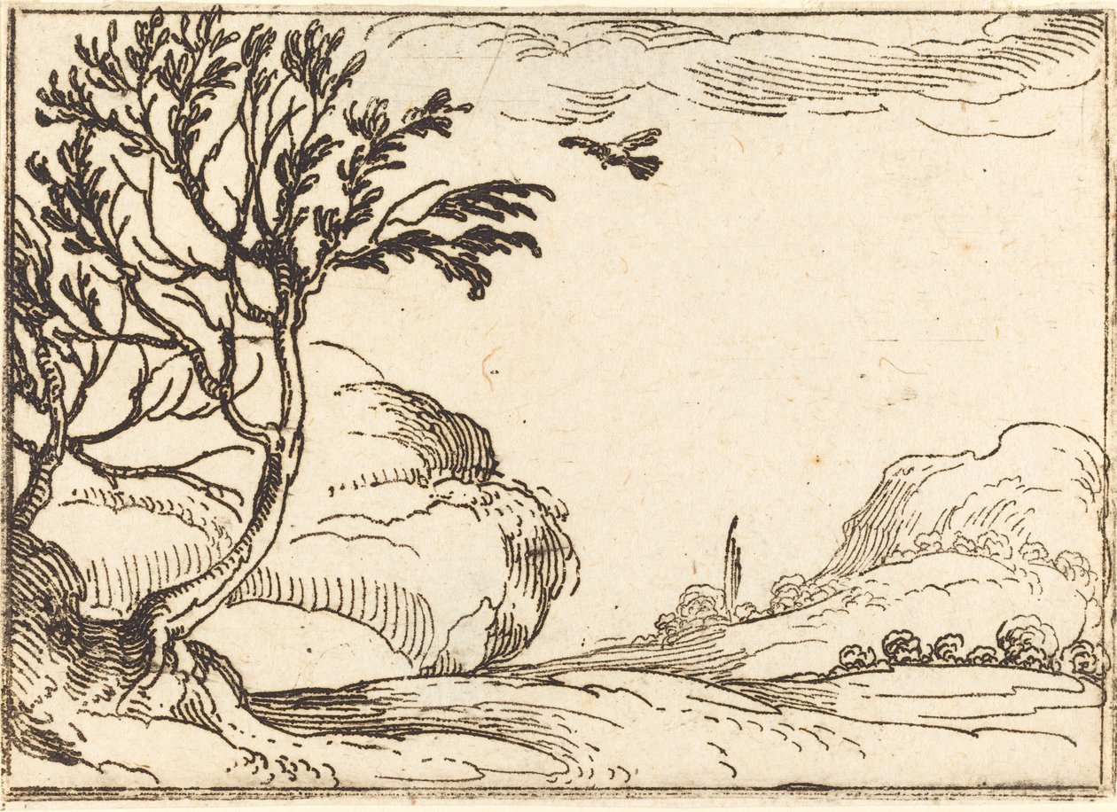 Turtle Duva flyger i öknen av Jacques Callot
