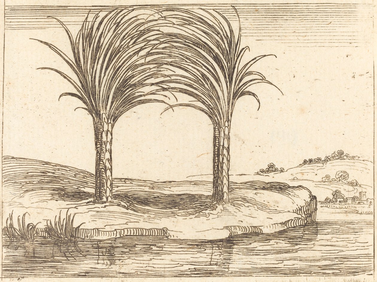 Två palmer av Jacques Callot