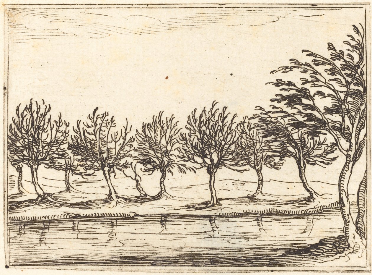 Willows vid vattenbrynet av Jacques Callot