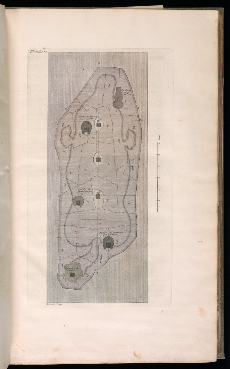 Bound Print (Frankrike) av Jacques François Blondel