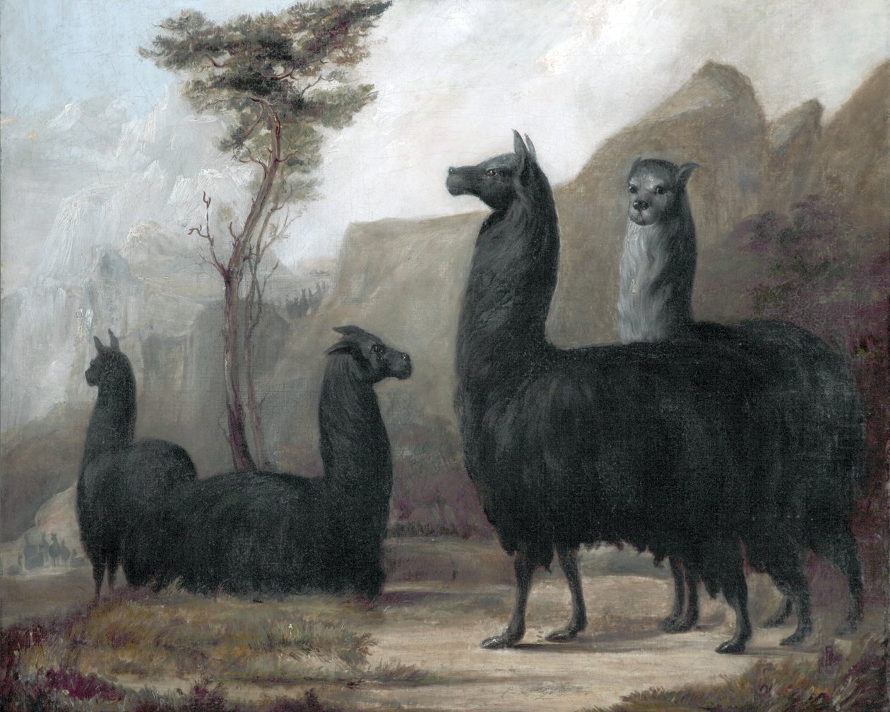 Alpackor av Jacques Laurent Agasse