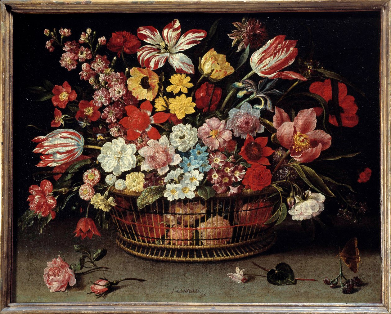 Fruktkorg Målning av Jacques Linard (1600-1645) av Jacques Linard