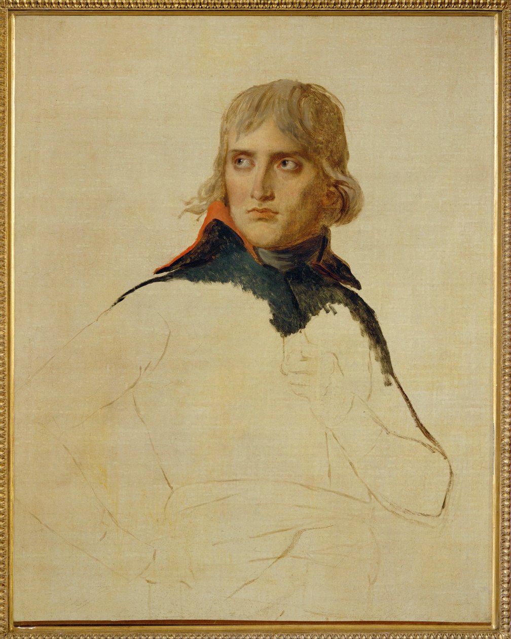 Napoleon Bonaparte... av Jacques Louis David