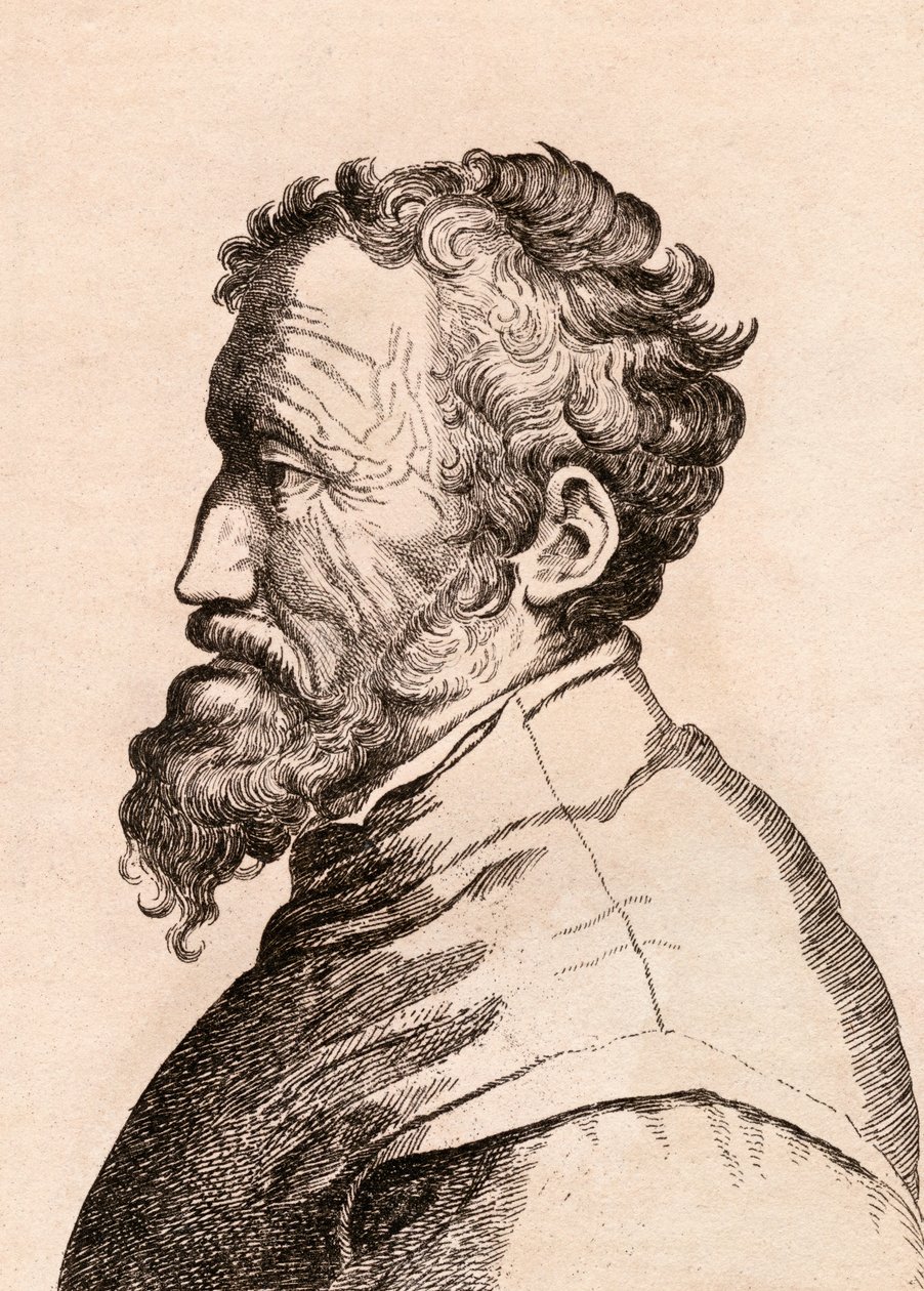 Michelangelo di Lodovico Buonarroti Simoni, mchoro kutoka 