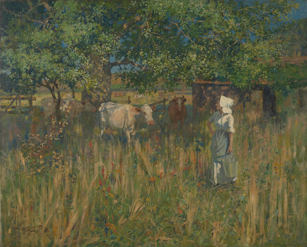 Tess av James McLachlan Nairn