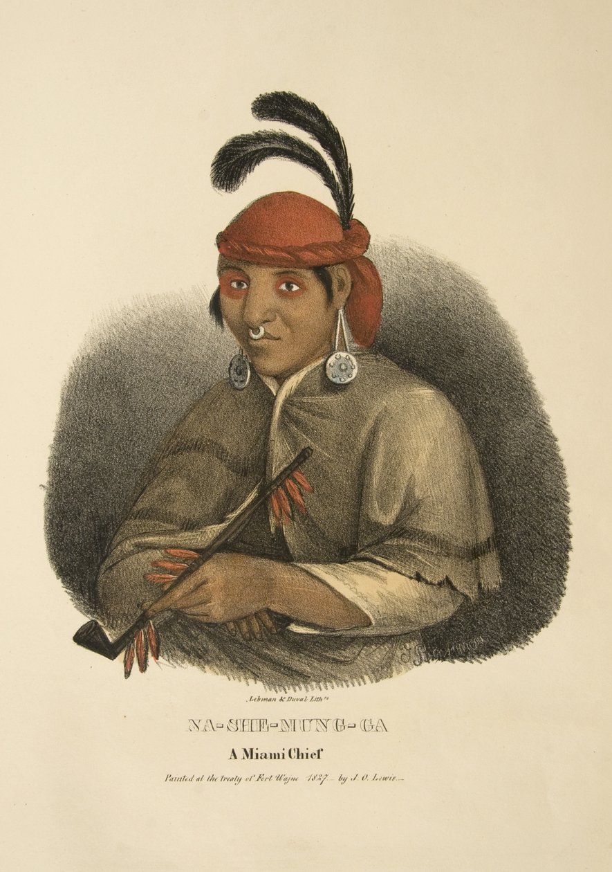 Na-she-mung-ga av James Otto Lewis
