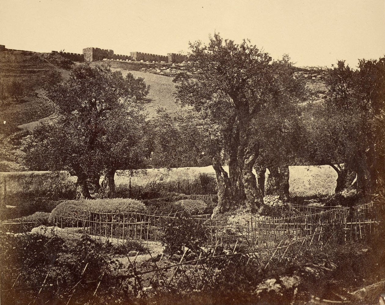 The Garden of Gethsemane av James Robertson