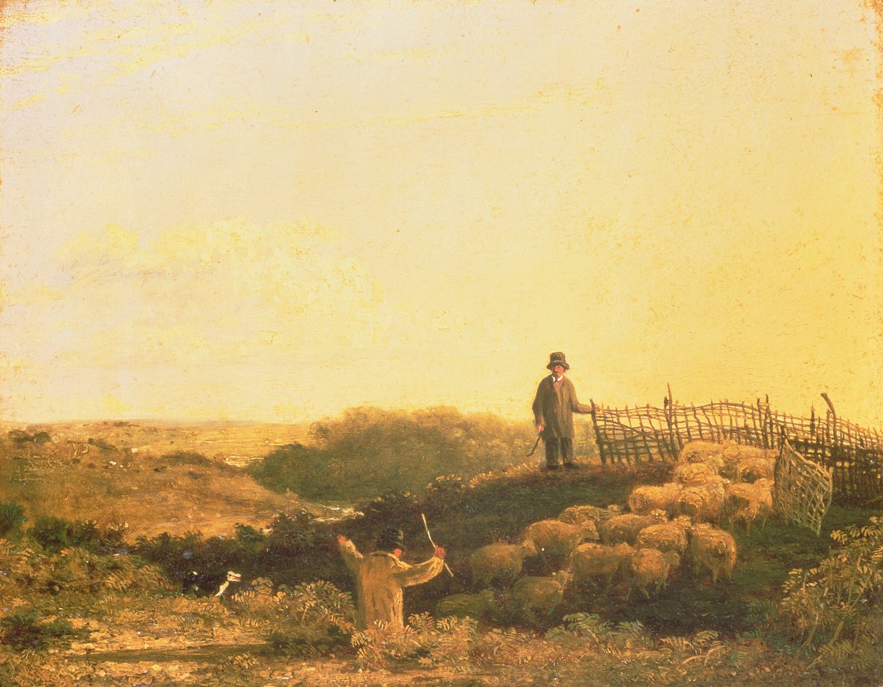 Penning the Flock av James Stark