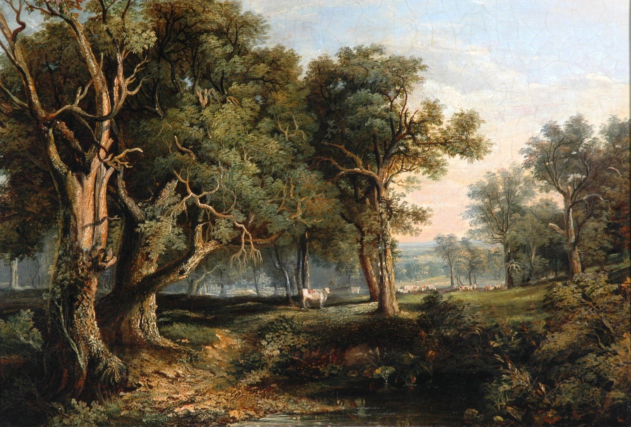 Skogslandskap av James Stark