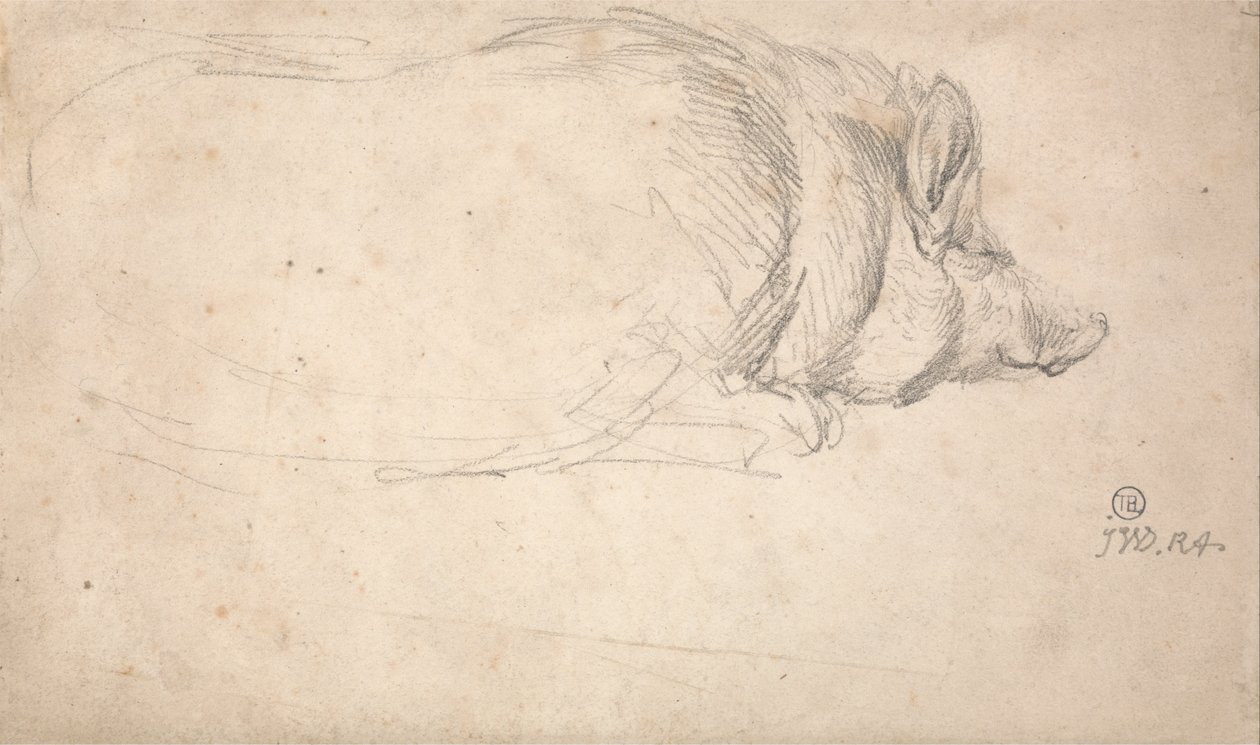 A Hog, Sleeping av James Ward