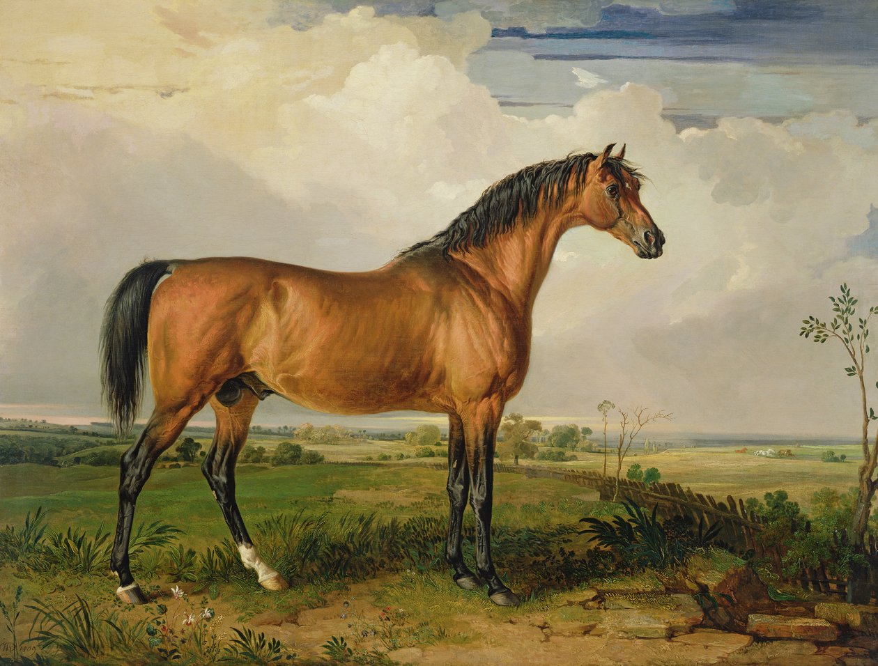 Eagle, en hyllad hingst av James Ward