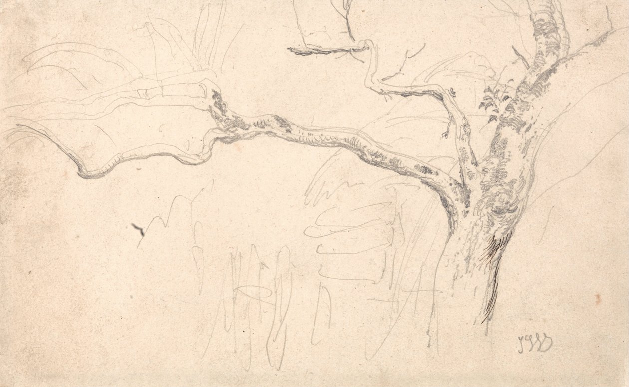 Trädstudie av James Ward