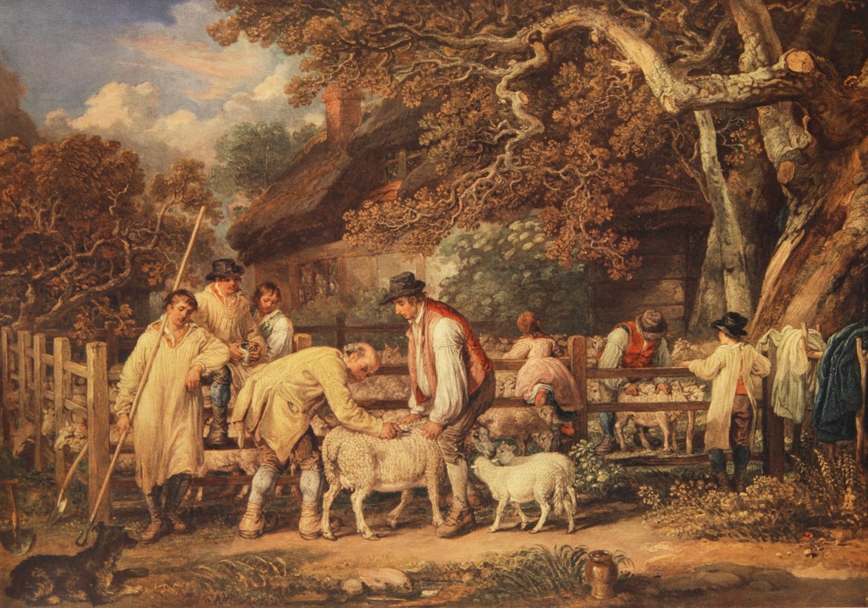 Fårklippning, ca 1820 (färg litho) av James (after) Ward