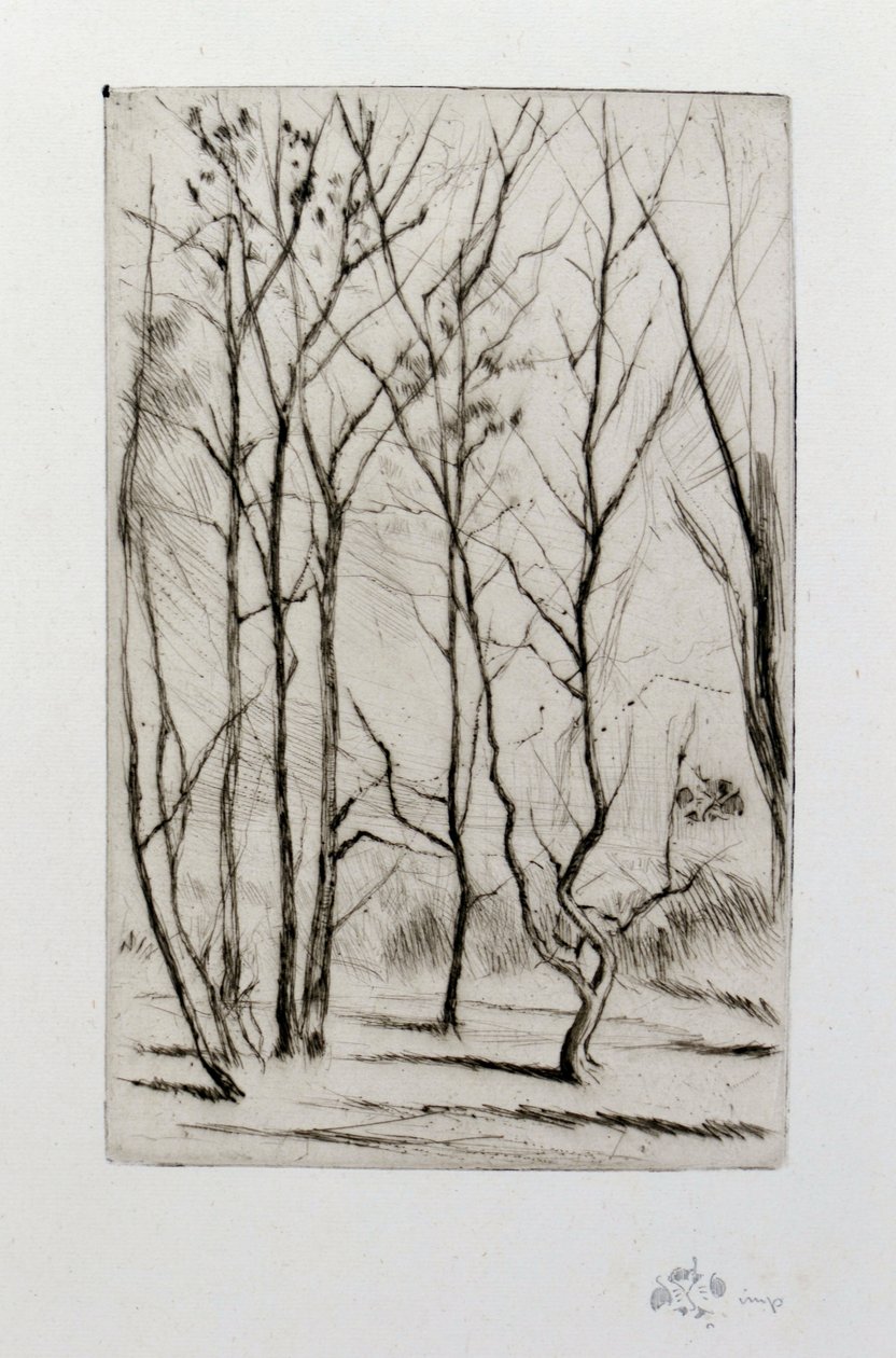 Damskogen av James Abbott McNeill Whistler
