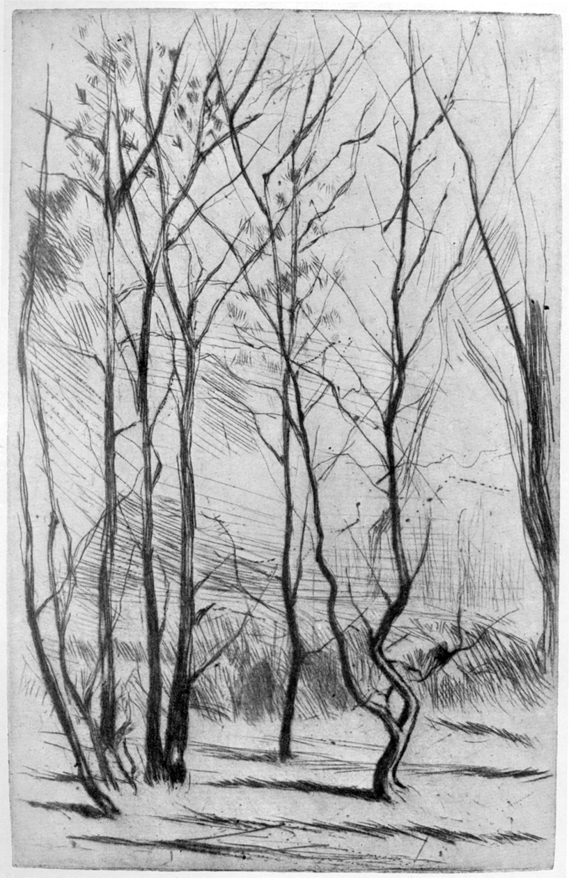 The Dam Wood, c1875 1904. av James Abbott McNeill Whistler