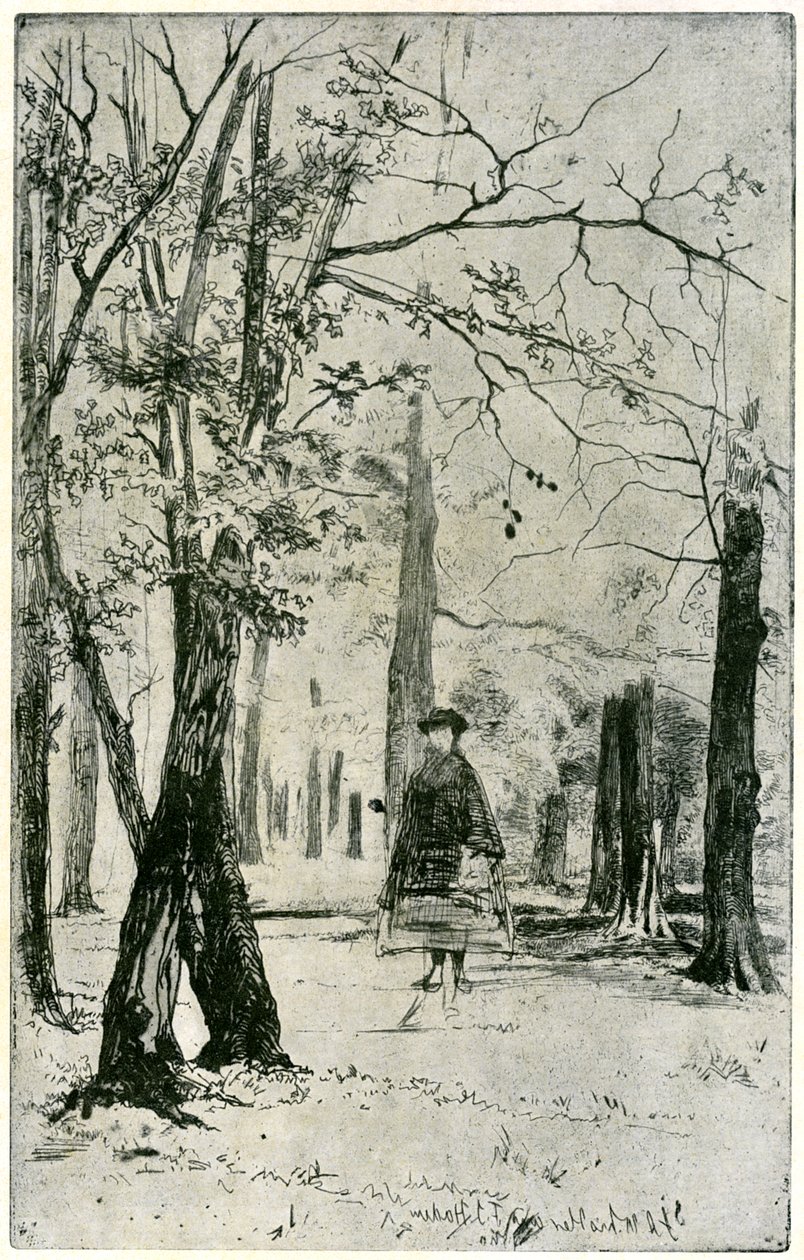 The Wood, 1800-talet 1904. av James Abbott McNeill Whistler