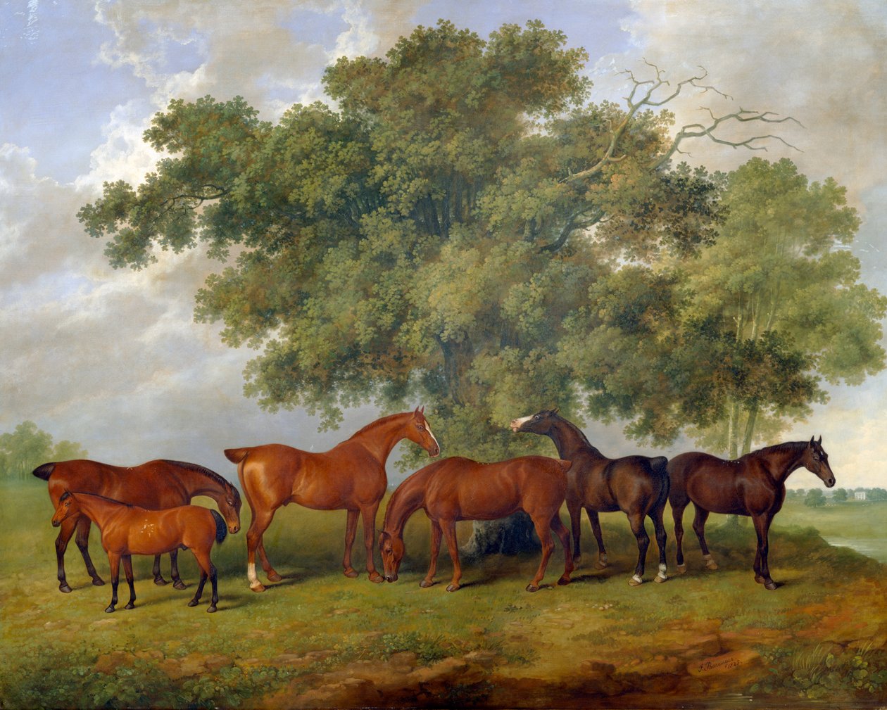 Theobald Stud av James Barenger