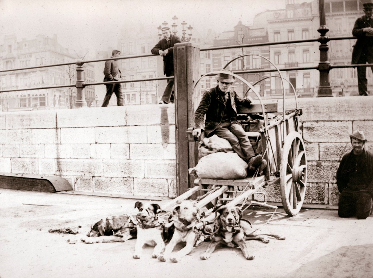 Man med hundkärra, Antwerpen, 1898. av James Batkin