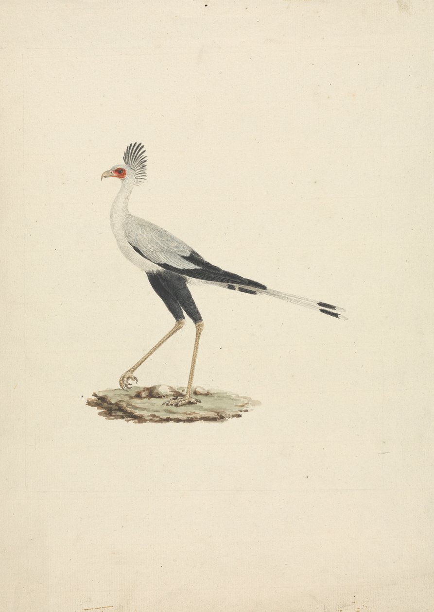 Skytten Serpentarius (sekreterare Bird) av James Bruce