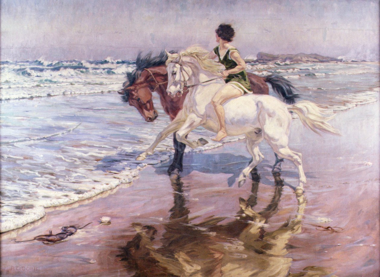 En tur på stranden av James Dobie
