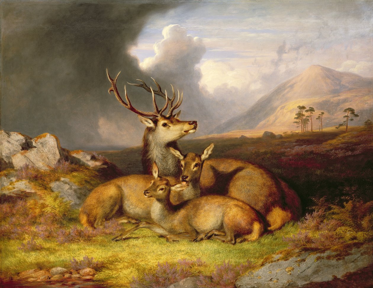 Highland Felicity, Ben Lebrig i bakgrunden av James Giles