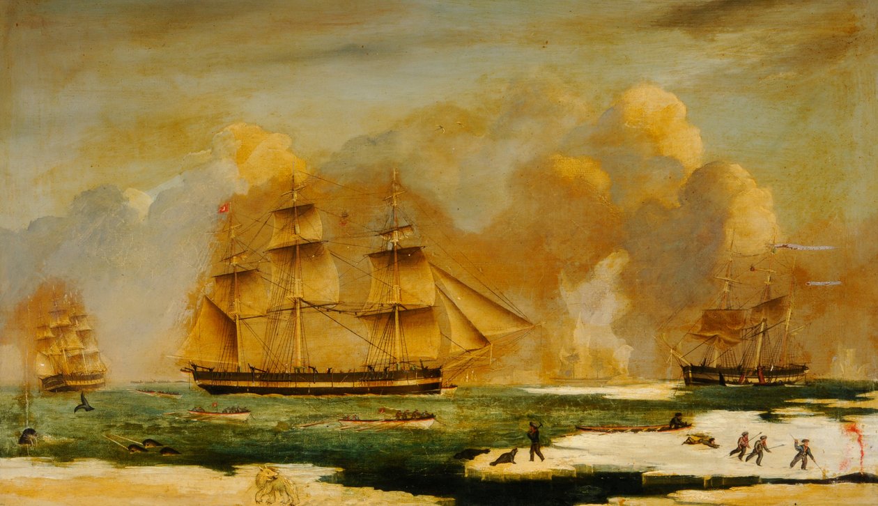 Skrov Whaler Abram av James H. Wheldon
