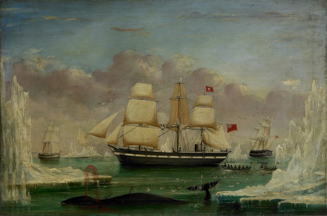 The Whaler "Diana" (olja på duk) av James H. Wheldon