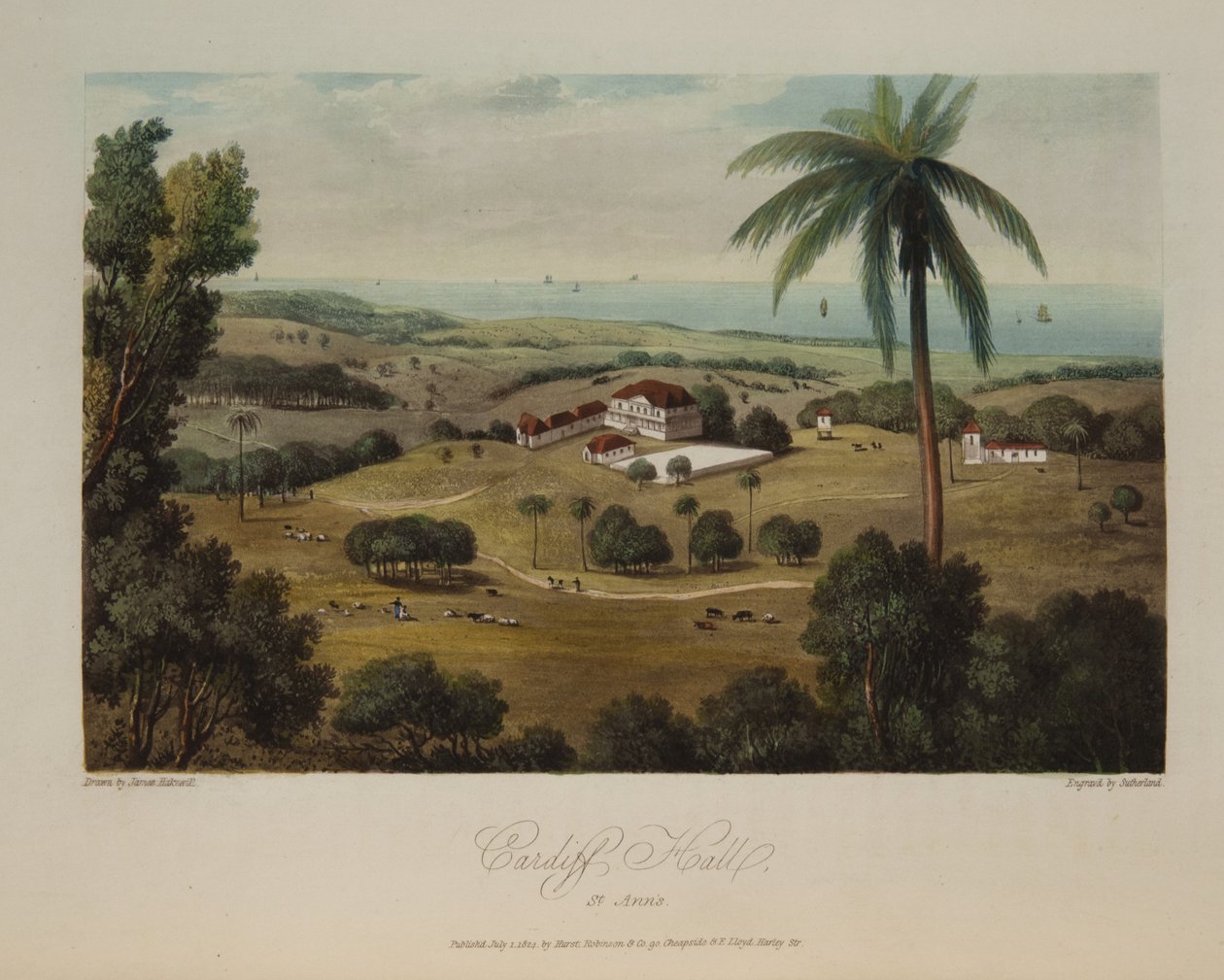 Cardiff Hall, St. Anns av James Hakewill