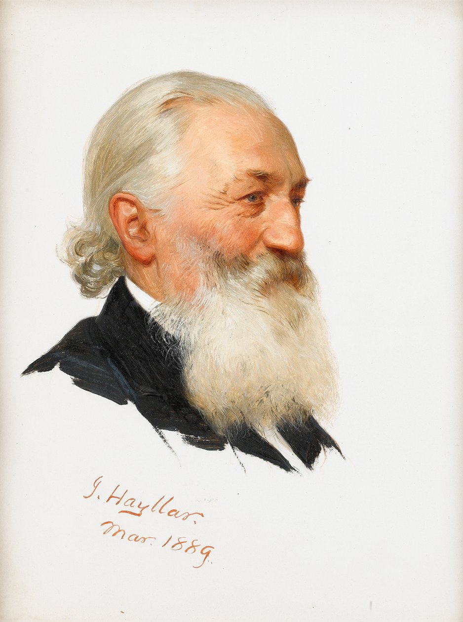 Studie av en skäggig gentleman, 1889 av James Hayllar