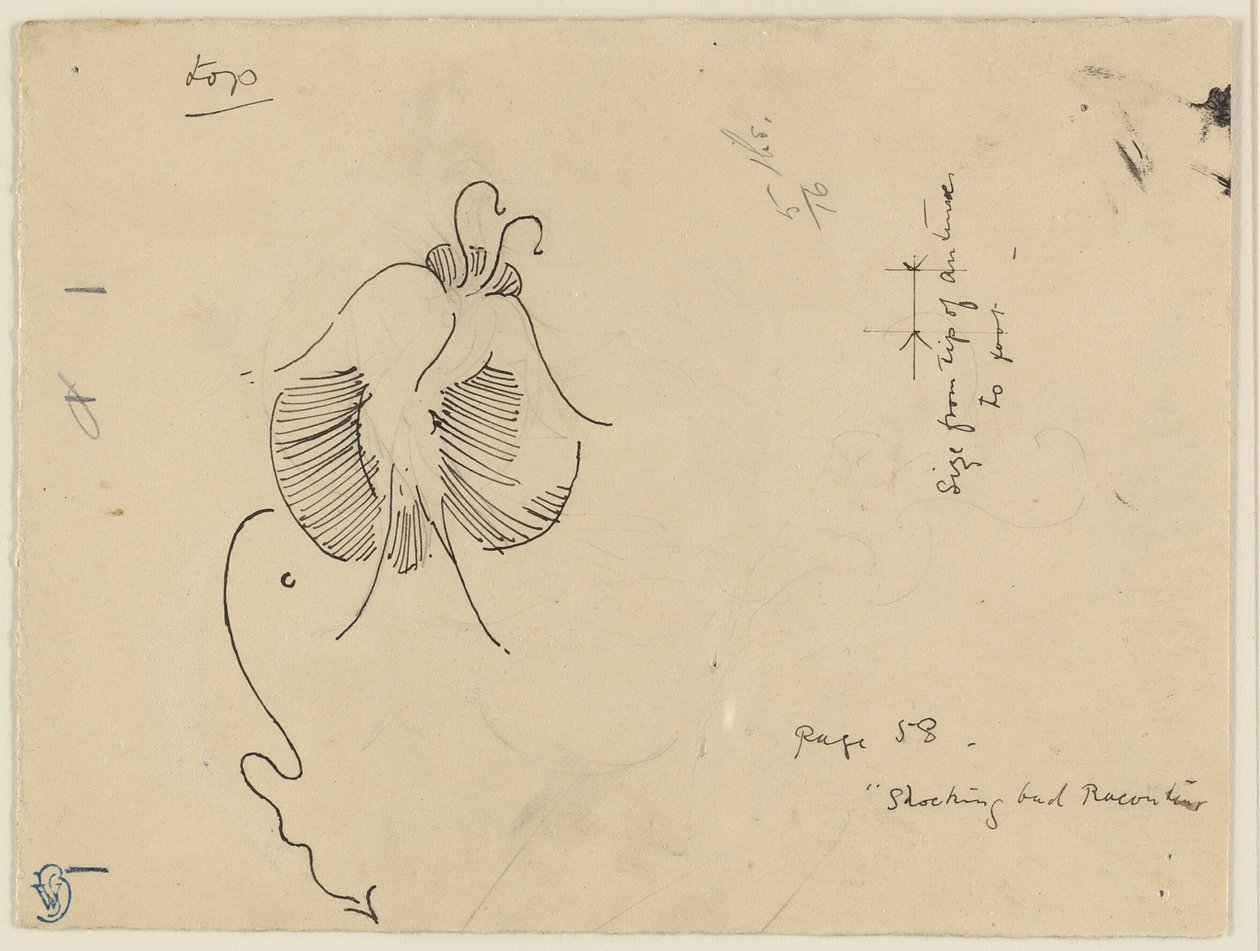 Fjäril (recto); Fragment av fjäril (verso) av James McNeill Whistler