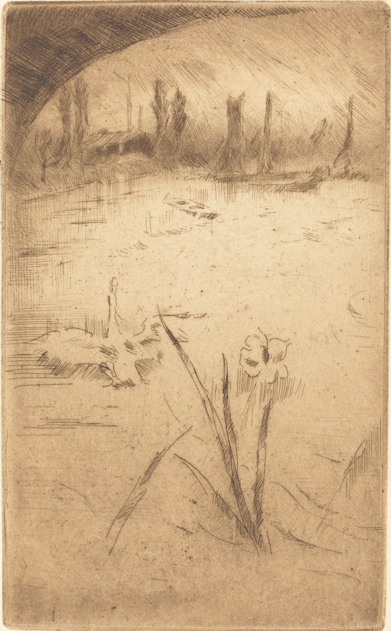 Swan och Iris av James Abbott McNeill Whistler