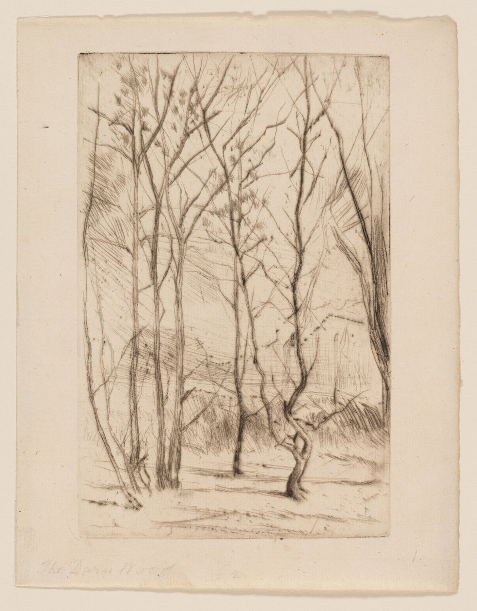 Damskogen av James Abbott McNeill Whistler