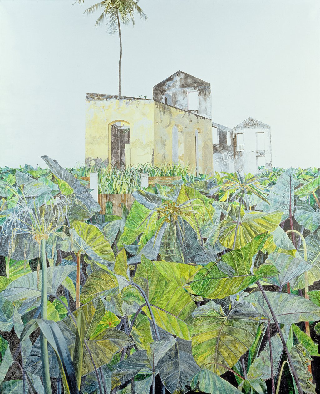 Ruin in a Swamp, Haiti, 1971  av James Reeve