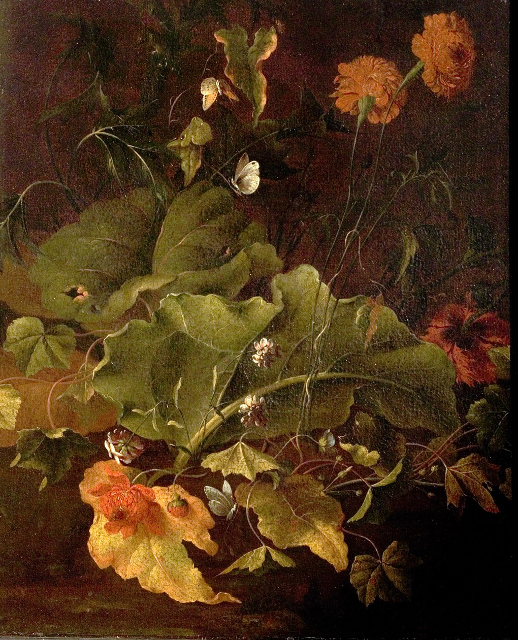 Dockblad och andra blommor, c.1820 av James Sillett