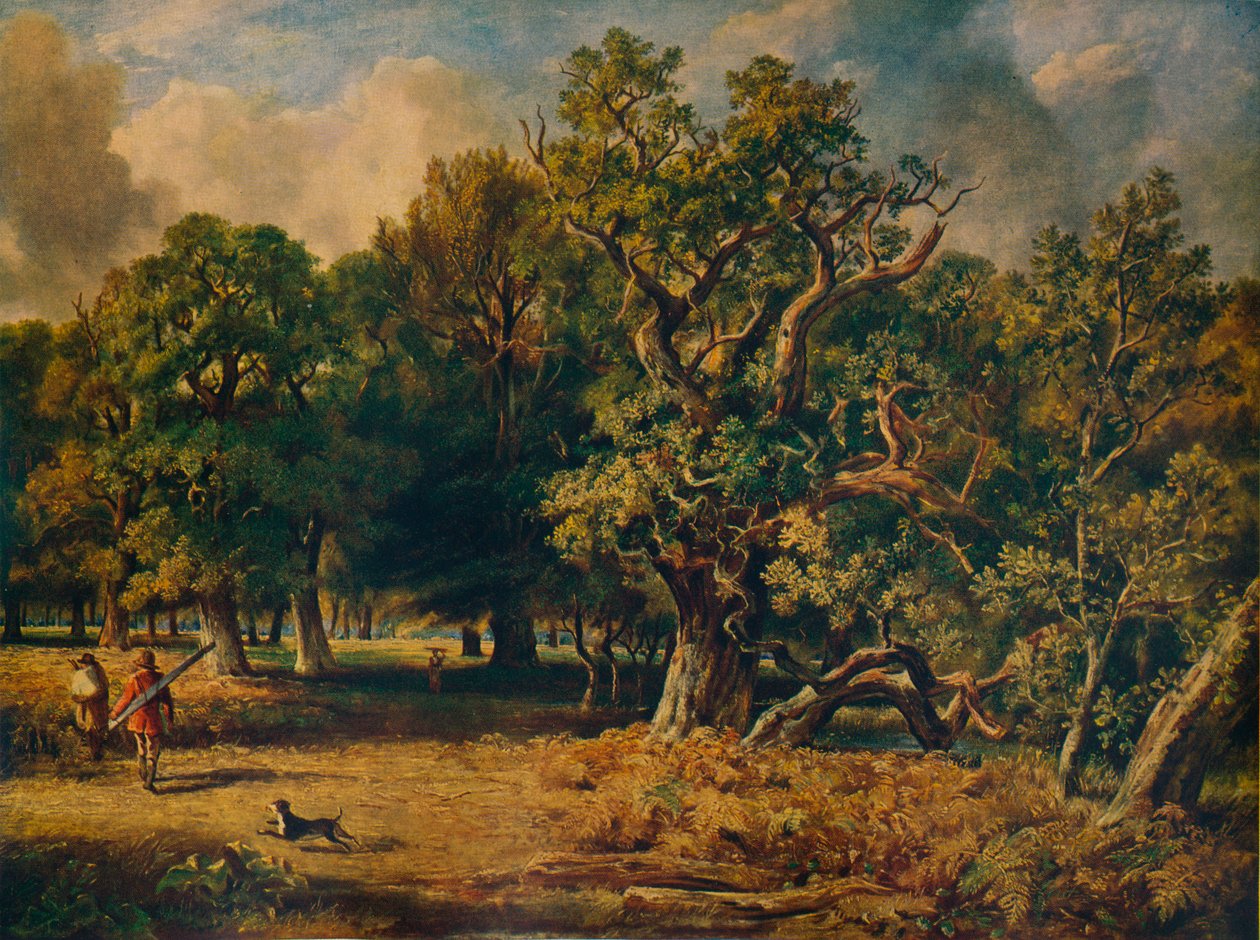 Windsor Forest, c1835 av James Stark