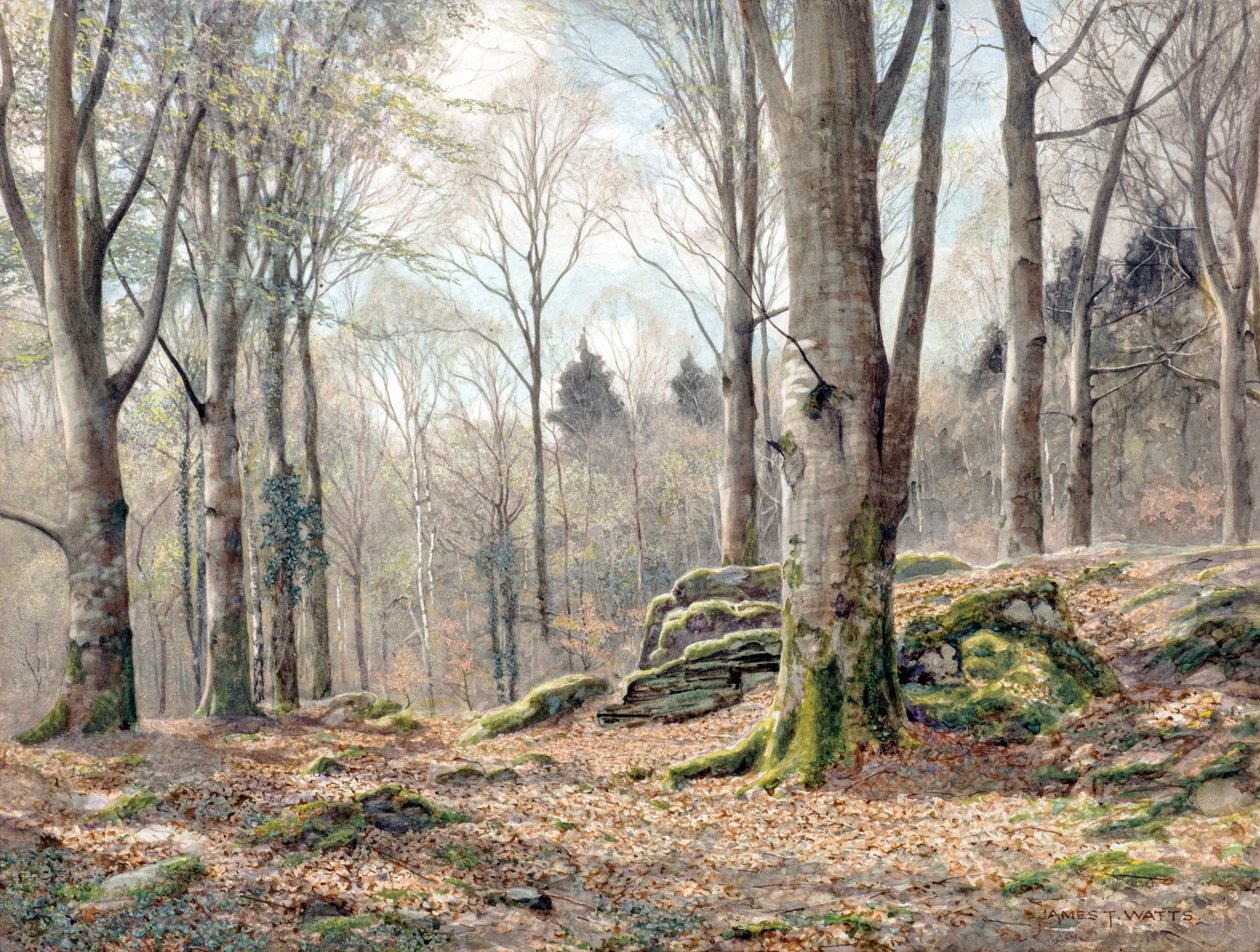En walesisk skog (akvarell) av James Thomas Watts
