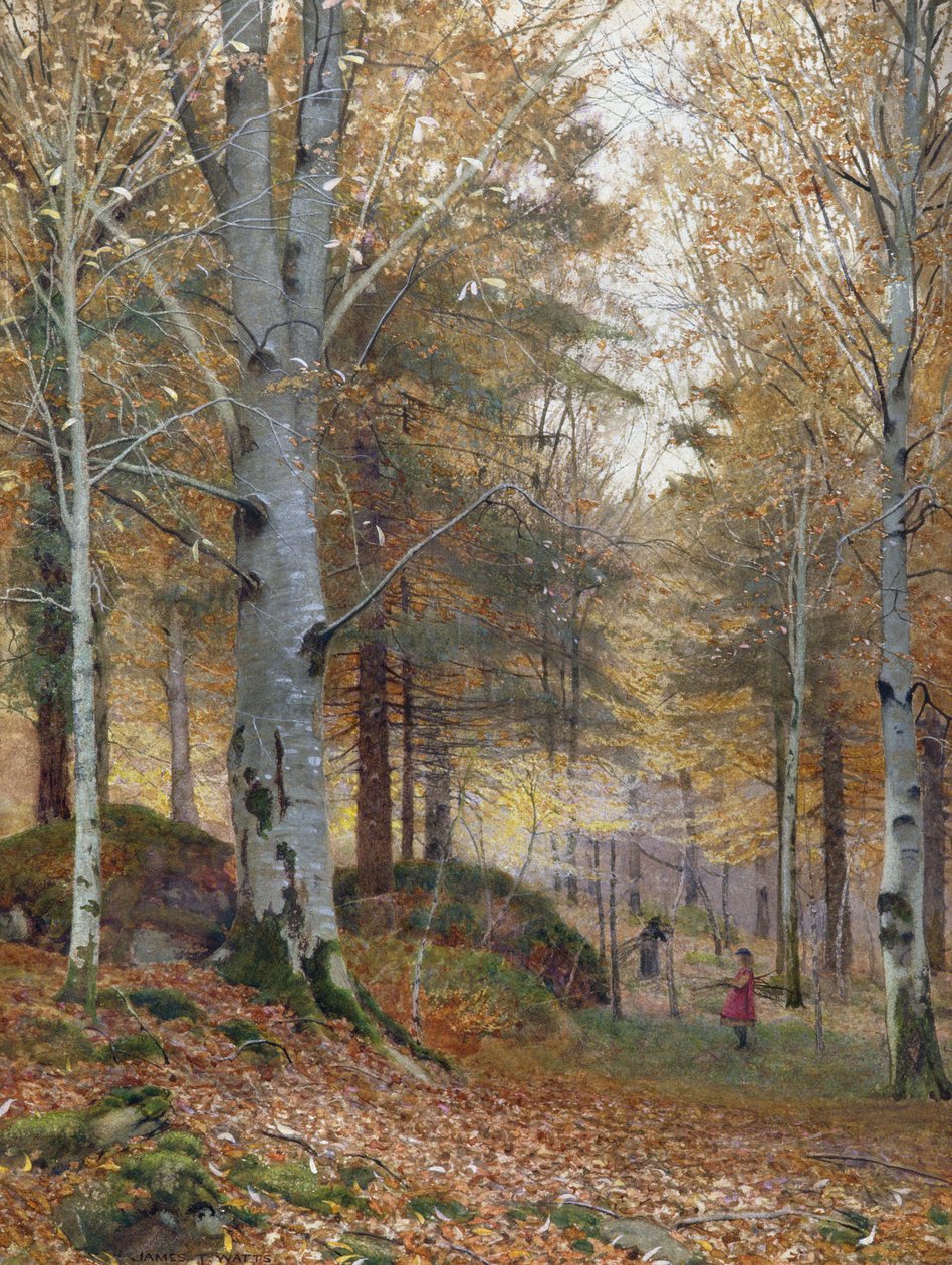 Höst i skogen av James Thomas Watts