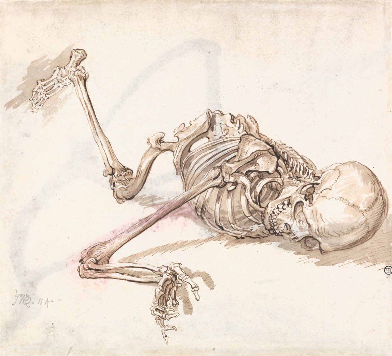 A Human Skeleton av James Ward