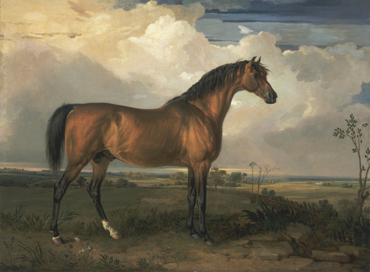 Eagle, en hyllad hingst av James Ward