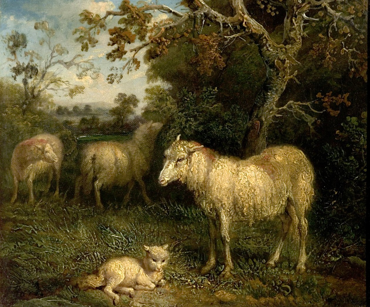 Landskap med får av James Ward