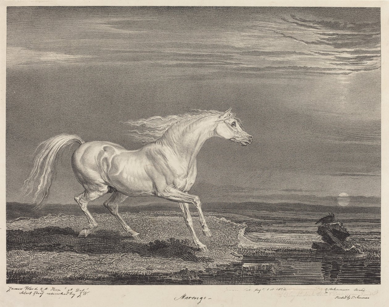 Marengo av James Ward