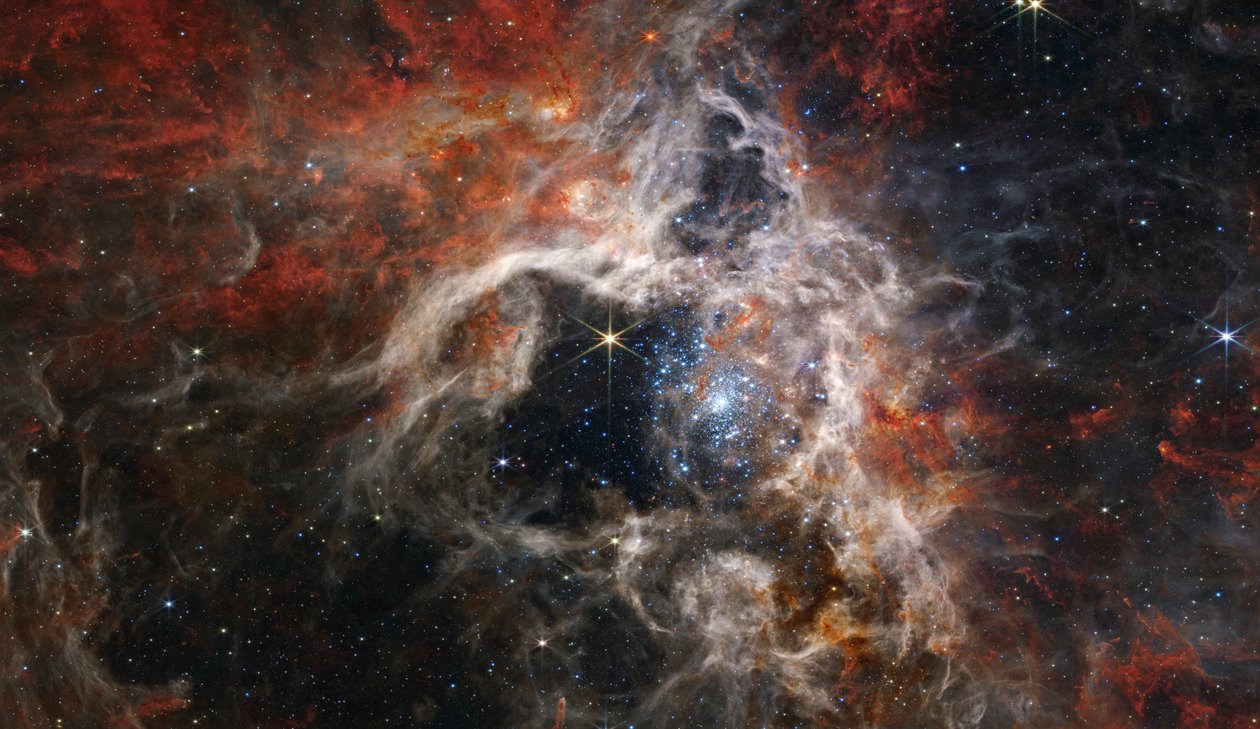 Tarantula Nebula (NIRCam Image) av James Webb Space Telescope (NASA)