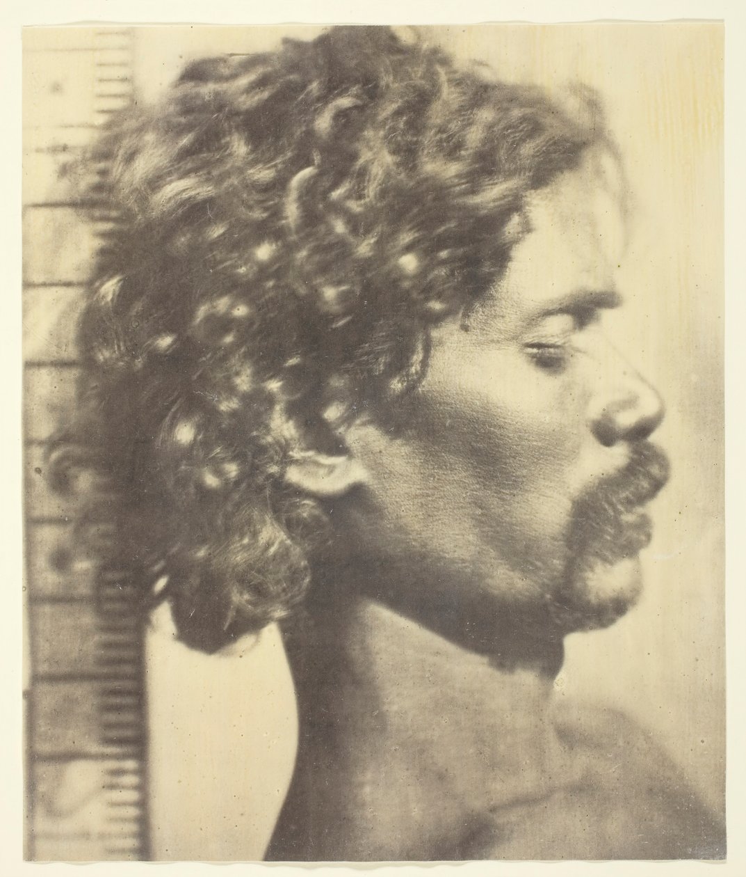 Att vara människa, 1873. av James Wilkinson Breeks
