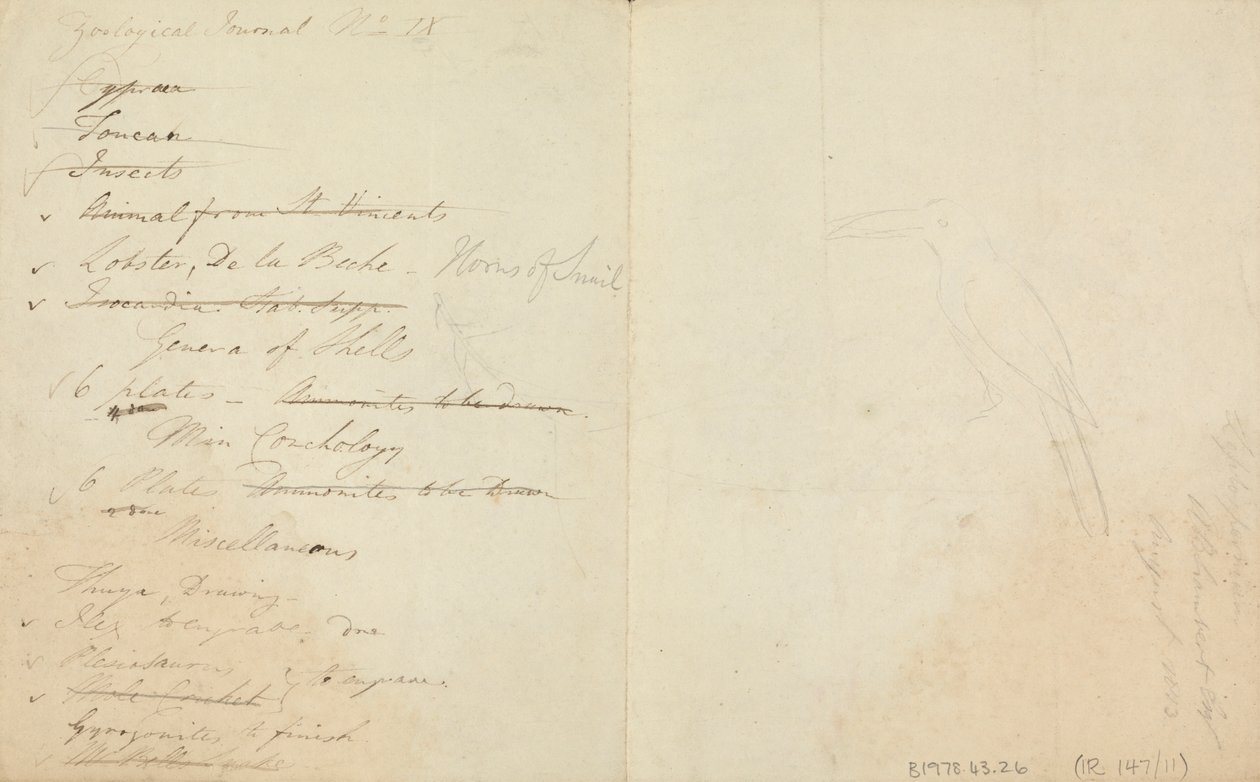 Tre tukaner av James de Carle Sowerby