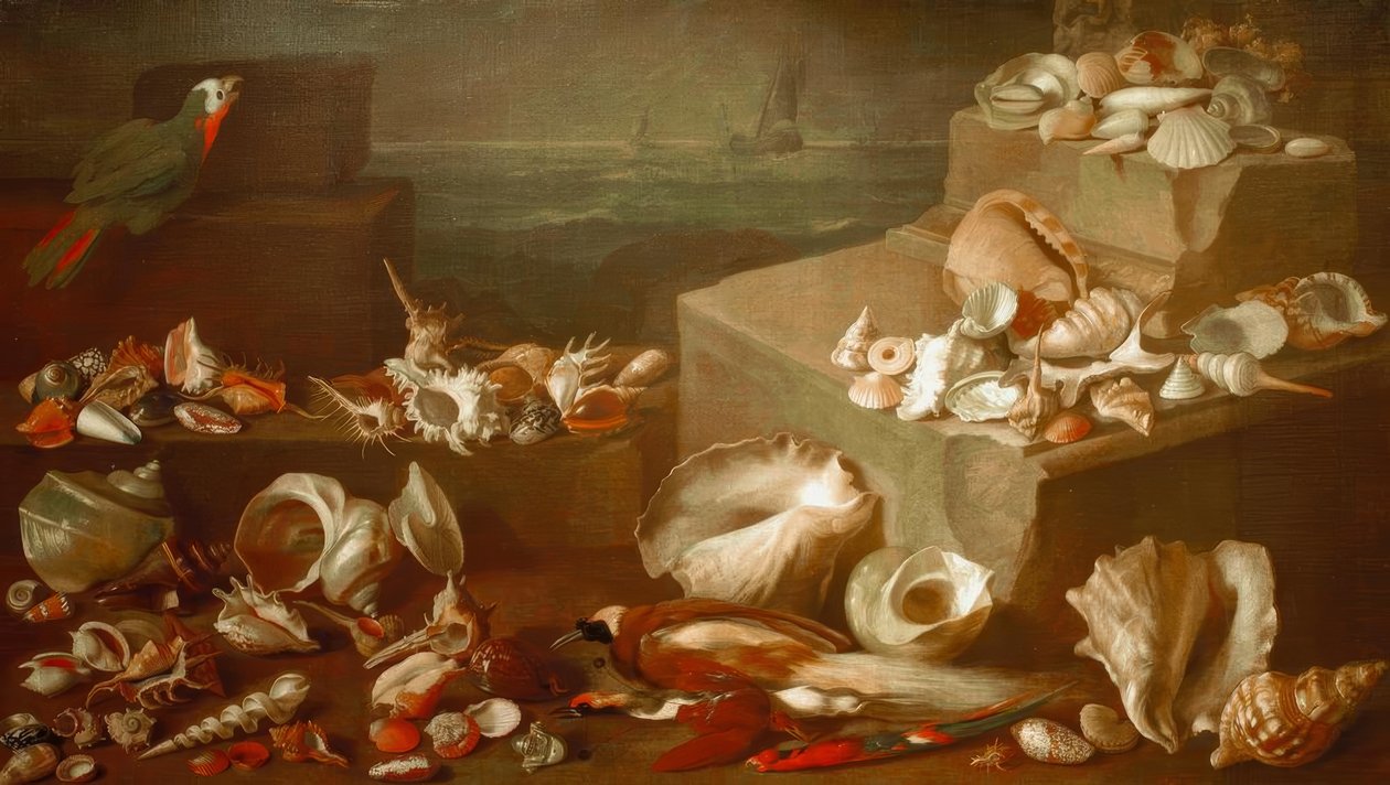 Stilleben med sniglar och snäckor av Jan Davidsz de Heem